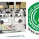 How to score 300 and above in JAMB 2022