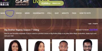 How to vote your favorite housemate on BBNaija