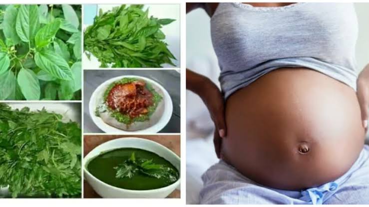 The Benefits of Ewedu Soup (Jute Leaves) During Pregnancy and Its Effects on Childbirth